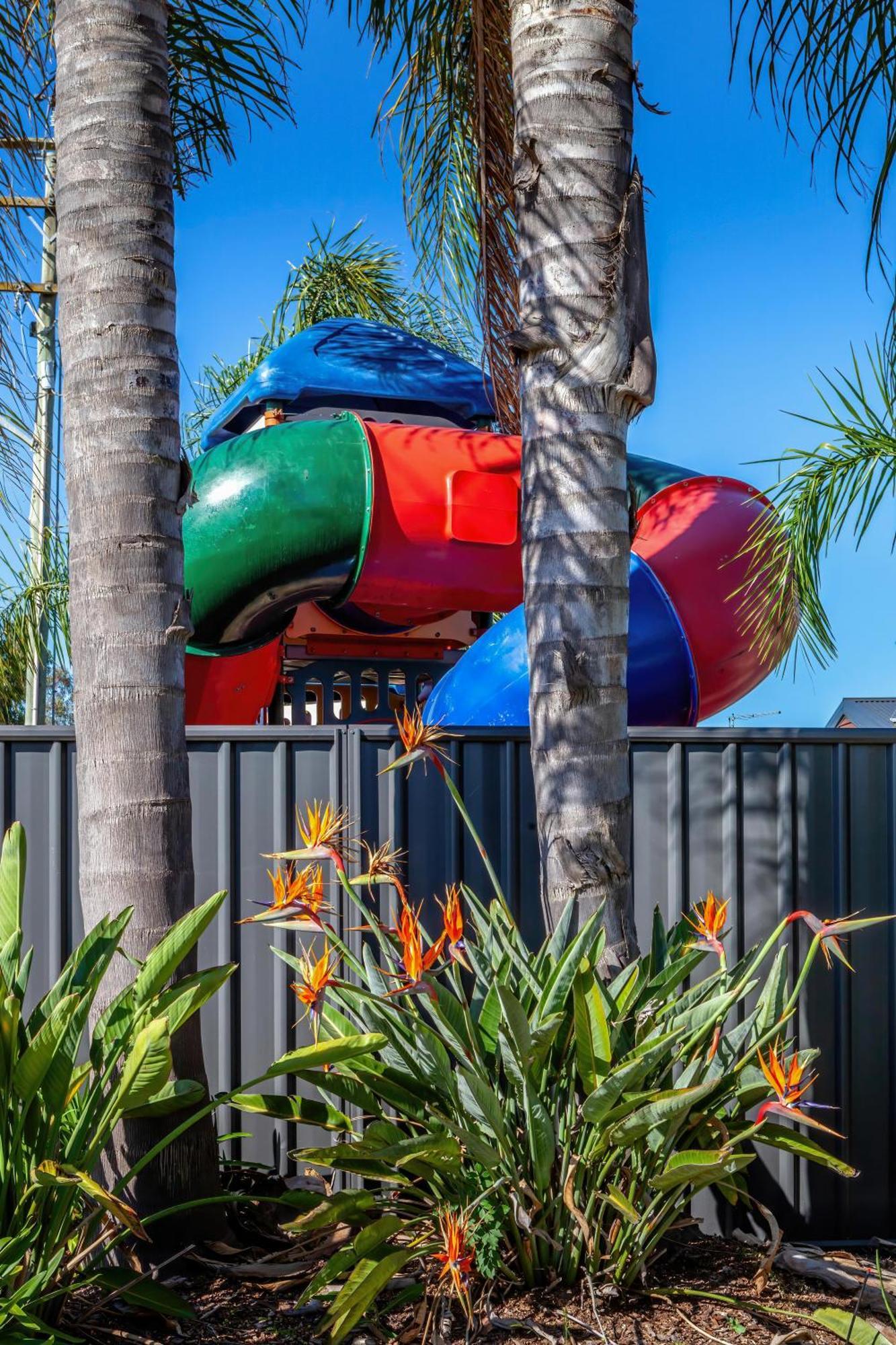 Hotel Big4 Albury Tourist Park Esterno foto